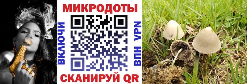 Псилоцибиновые грибы Psilocybe  купить наркотик  Салаир 